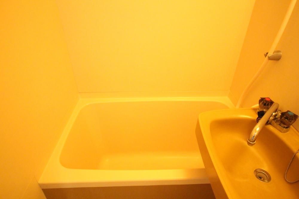 �y�o�X�z�@