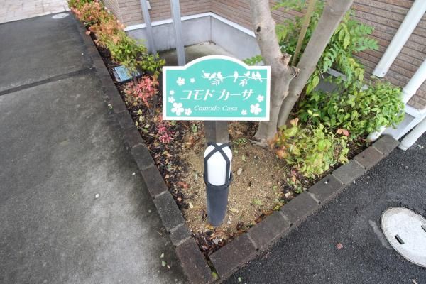 yOρz@
